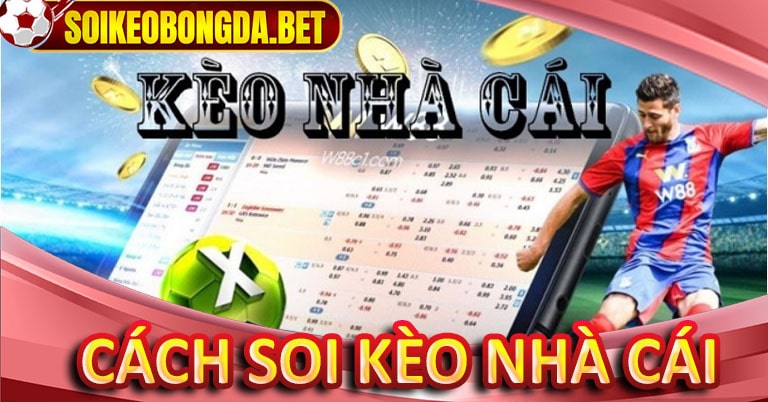 Cách thức để soi kèo nhà cái trực tiếp 