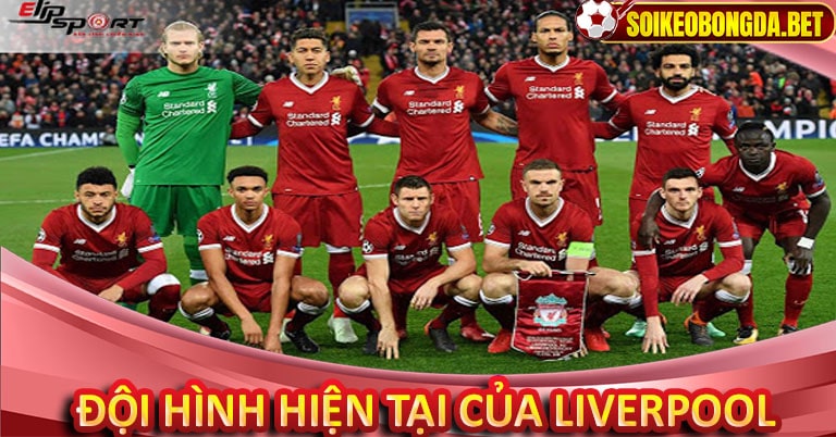 Đội hình hiện tại của Liverpool 