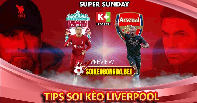 Một số tips soi kèo Liverpool hiệu quả nhất