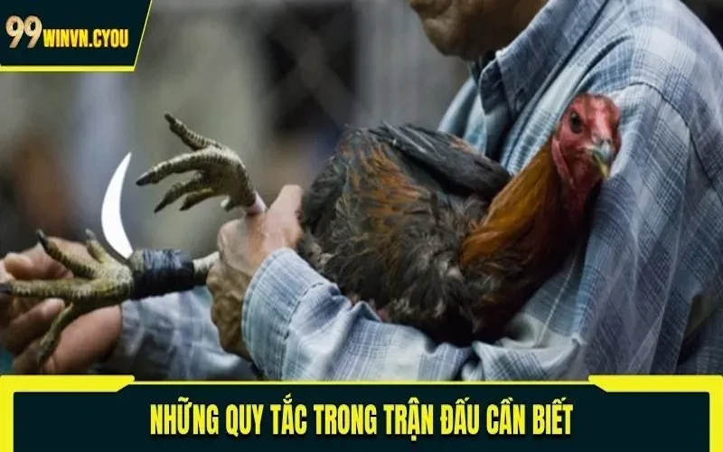 Những quy tắc trong trận đấu cần biết
